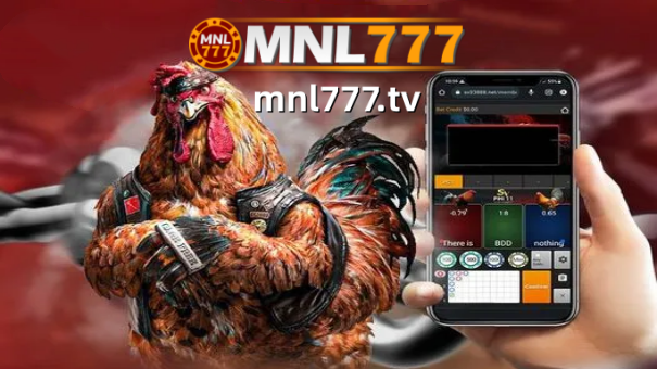 You can get started by checking out our MNL777 sabong online cockfighting betting platform