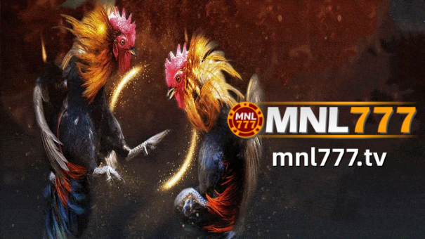 You can get started by checking out our MNL777 sabong online cockfighting betting platform