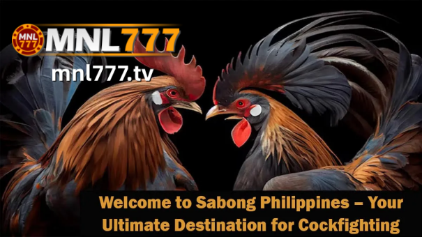 Effective Online Sabong Betting Strategy​