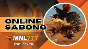 Are you ready to immerse yourself in the thrilling world of MNL777 Online Sabong at your fingertips?