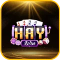 HAYWIN