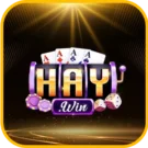 HAYWIN