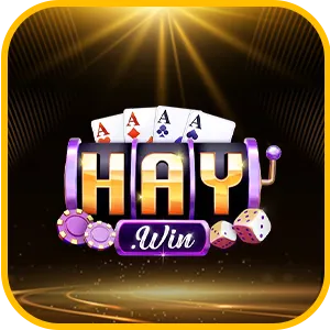 HAYWIN